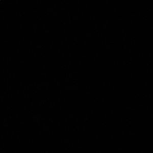 Meet your Posher, Angelica